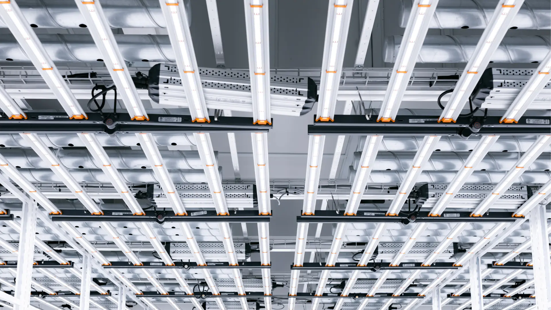LED Lighting
