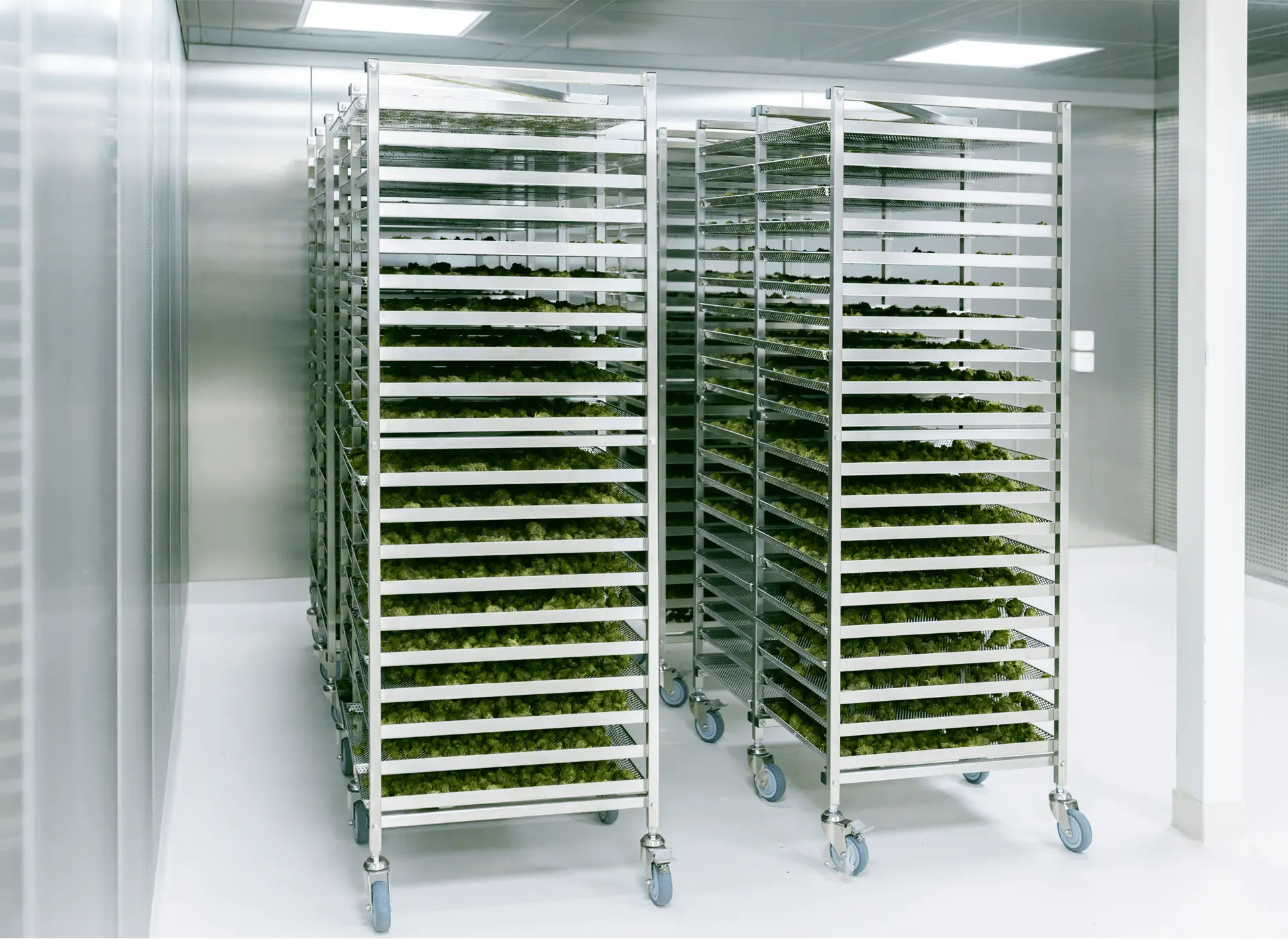 Drying